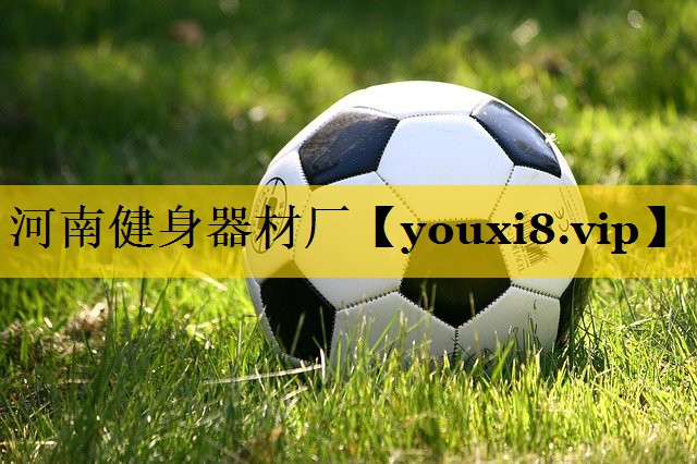 河南健身器材厂