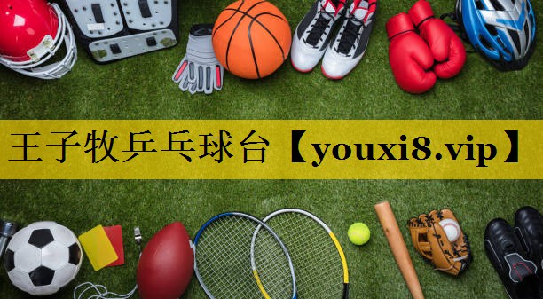 王子牧乒乓球台