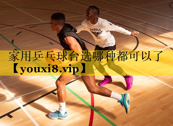 家用乒乓球台选哪种都可以了