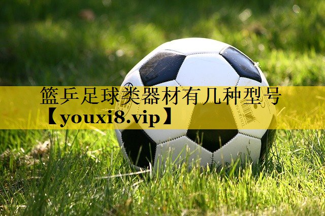 篮乒足球类器材有几种型号