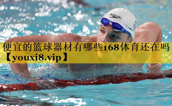 便宜的篮球器材有哪些168体育还在吗