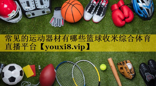 常见的运动器材有哪些篮球收米综合体育直播平台