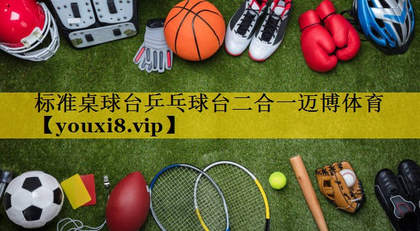 标准桌球台乒乓球台二合一迈博体育