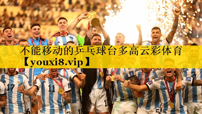 不能移动的乒乓球台多高云彩体育