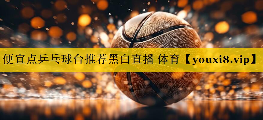 便宜点乒乓球台推荐黑白直播 体育