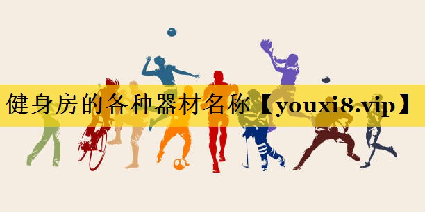 健身房的各种器材名称