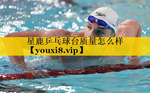 星鹿乒乓球台质量怎么样