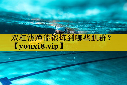双杠浅蹲能锻炼到哪些肌群？