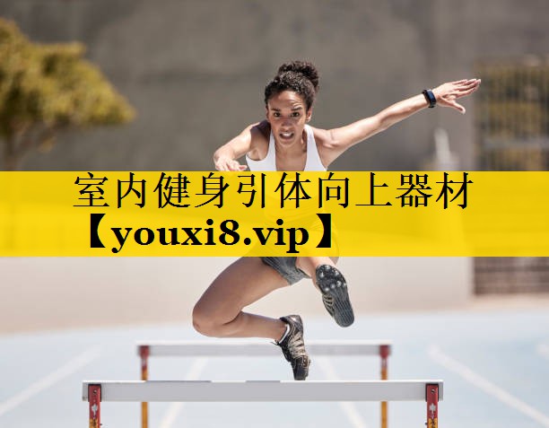 室内健身引体向上器材