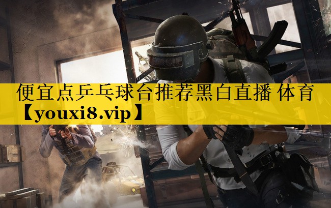 便宜点乒乓球台推荐黑白直播 体育