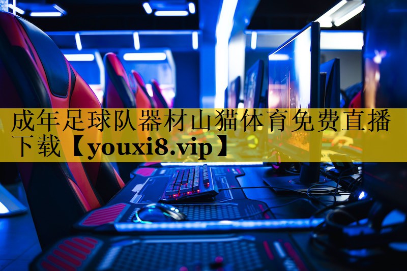成年足球队器材山猫体育免费直播下载