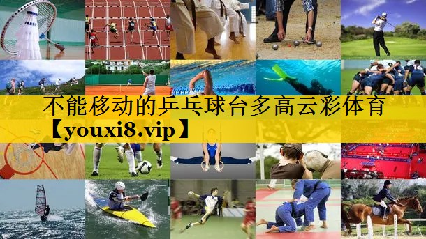 不能移动的乒乓球台多高云彩体育