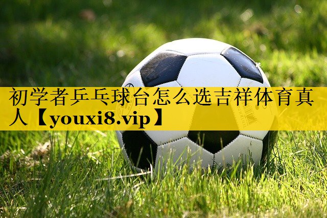 初学者乒乓球台怎么选吉祥体育真人