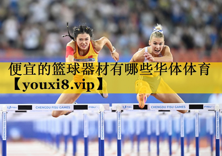 便宜的篮球器材有哪些华体体育