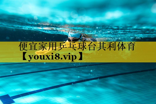 便宜家用乒乓球台其利体育
