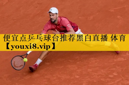 便宜点乒乓球台推荐黑白直播 体育