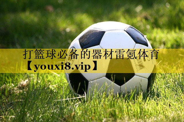 打篮球必备的器材雷氪体育