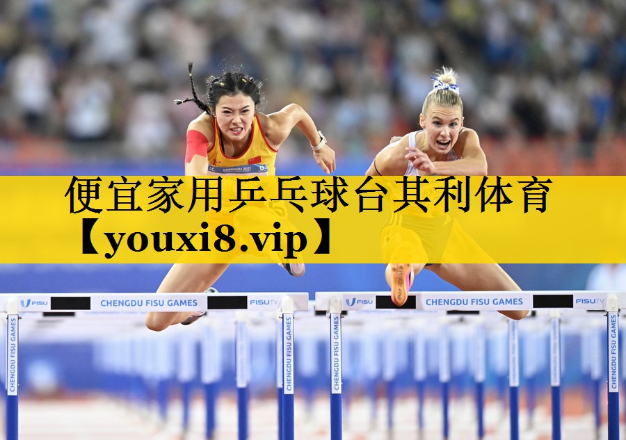 便宜家用乒乓球台其利体育