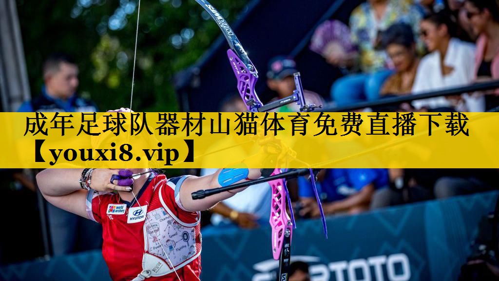 成年足球队器材山猫体育免费直播下载