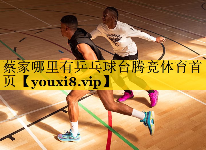 蔡家哪里有乒乓球台腾竞体育首页