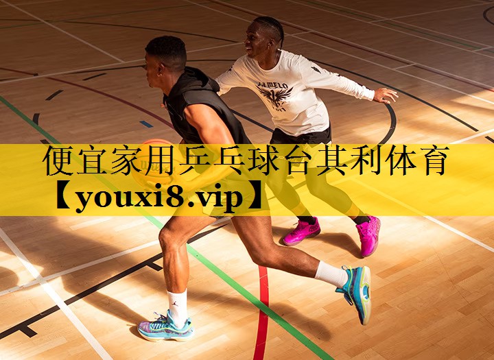 便宜家用乒乓球台其利体育