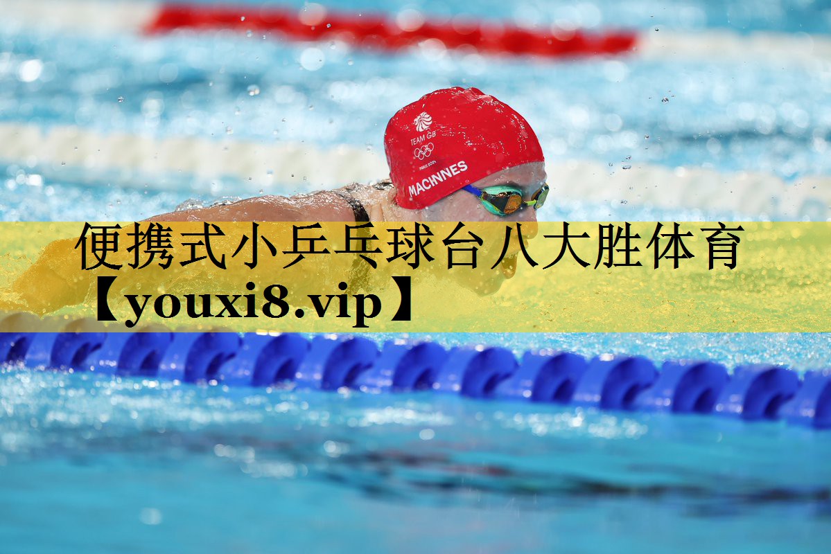 便携式小乒乓球台八大胜体育
