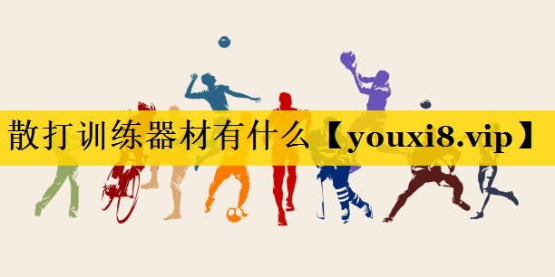 散打训练器材有什么