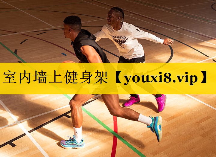 室内墙上健身架