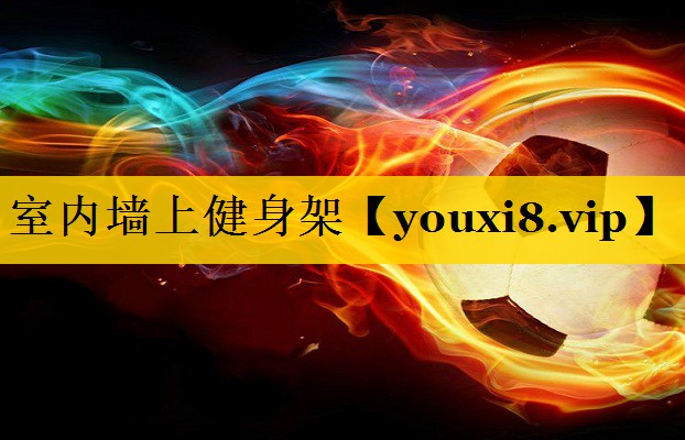 室内墙上健身架