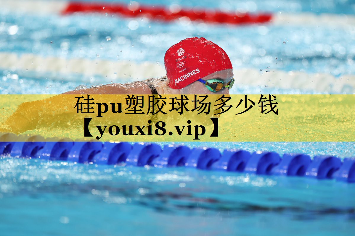 硅pu塑胶球场多少钱
