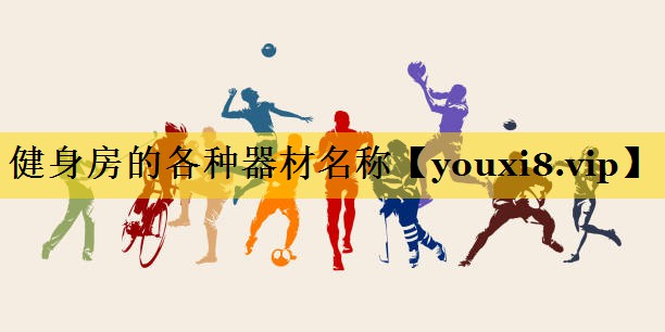 健身房的各种器材名称
