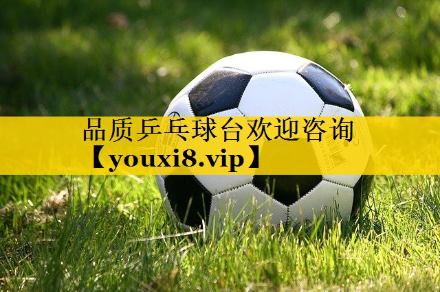 品质乒乓球台欢迎咨询