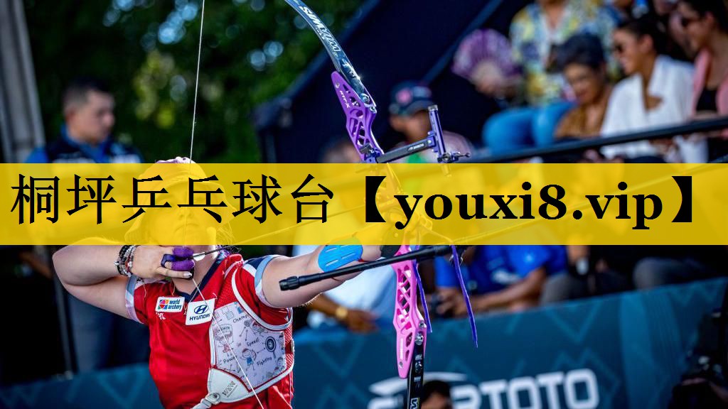 桐坪乒乓球台