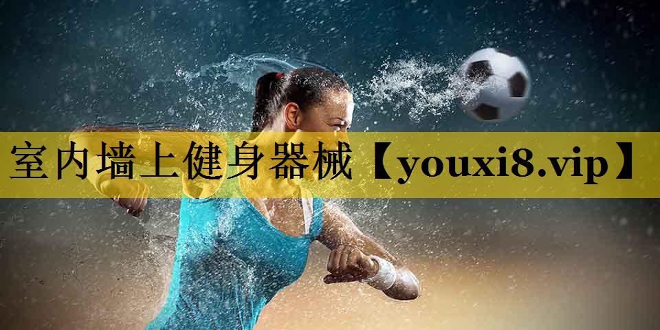 室内墙上健身器械