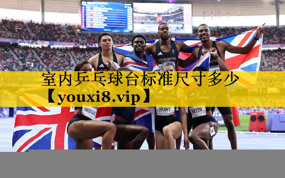 室内乒乓球台标准尺寸多少
