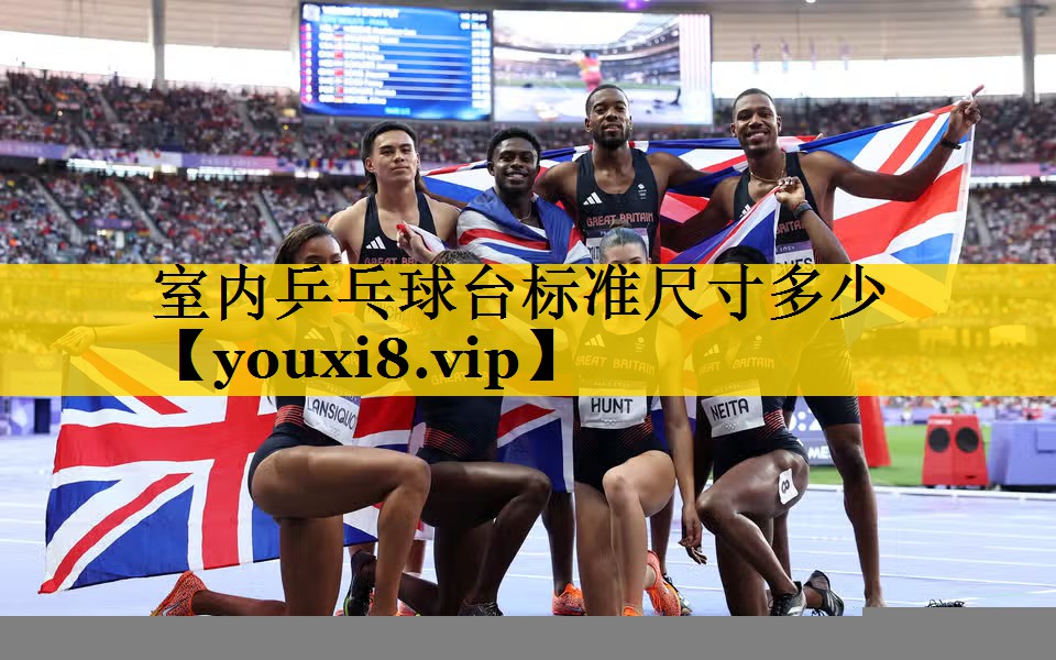 室内乒乓球台标准尺寸多少
